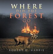 Where Did the Forest Go - Cover