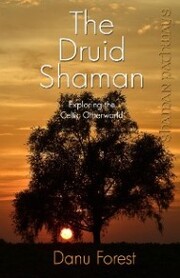 Shaman Pathways - The Druid Shaman