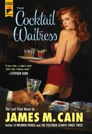 The Cocktail Waitress - Cover