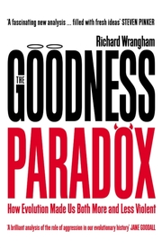 The Goodness Paradox - Cover