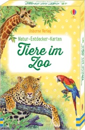 Natur-Entdecker-Karten: Tiere im Zoo - Cover