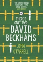 There's Only Two David Beckhams - Cover
