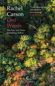 Lost Woods - Cover