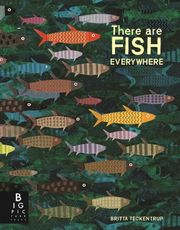 There are Fish Everywhere - Cover