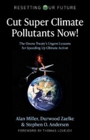 Cut Super Climate Pollutants Now!
