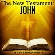 The New Testament: John