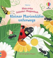 Mein erstes Entdecker-Klappenbuch: Kleiner Marienkäfer unterwegs - Cover