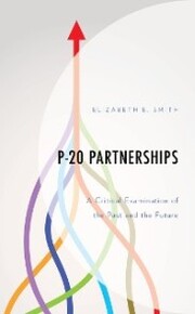 P-20 Partnerships