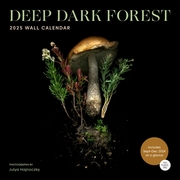 Deep Dark Forest 2025