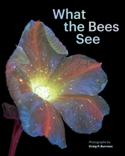 What the Bees See - Cover
