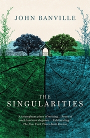 The Singularities - Cover