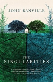 The Singularities - Cover