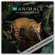BBC Animals - Wildtiere 2022