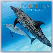 Dolphins - Delfine - Delphine 2024 - 16-Monatskalender