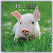 Piggies - Ferkel Schweine 2024 - 16-Monatskalender
