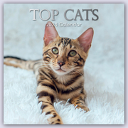Top Cats - Top-Katzen 2024 - 16-Monatskalender