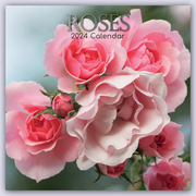 Roses - Rosen 2024 - 16-Monatskalender