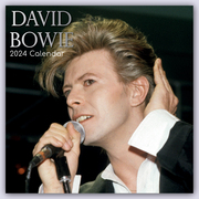 David Bowie 2024
