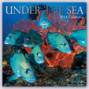 Unter the Sea - Tropische Fische 2024 - 16-Monatskalender