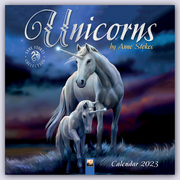 Unicorns by Anne Stokes - Einhörner von Anne Stokes 2023 - Cover