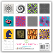 Optical Illusions 2024 - Abbildung 1