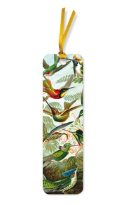 10er-Verpackungseinheit Lesezeichen: Ernst Haeckel, Kolibris