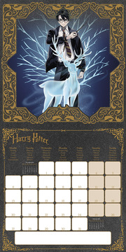 Harry Potter (Magical) 2025 30X30 Broschürenkalender - Illustrationen 1