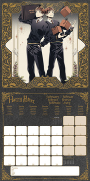 Harry Potter (Magical) 2025 30X30 Broschürenkalender - Illustrationen 2
