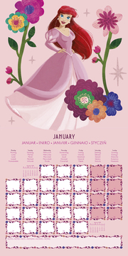 Disney Princess 2025 30X30 Broschürenkalender - Illustrationen 1