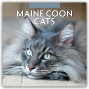 Maine Coon Cats - Maine Coon Katzen 2025 - 16-Monatskalender - Cover