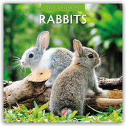 Rabbits - Hasen - Kaninchen 2025 - 16-Monatskalender