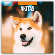 Akitas - Akita 2025 - 16-Monatskalender