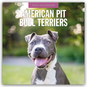 American Pit Bull Terriers - American Pit Bull Terrier 2025 - 16-Monatskalender