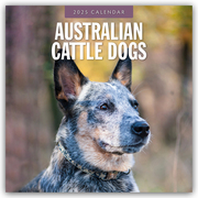 Australian Cattle Dogs - Australian Cattle Dog 2025 - 16-Monatskalender