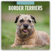 Border Terriers - Border Terrier 2025 - 16-Monatskalender