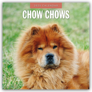 Chow Chows - Chow Chow 2025 - 16-Monatskalender