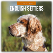 English Setters - Englisch Setter 2025 - 16-Monatskalender