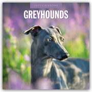 Greyhound - Windhund 2025 - 16-Monatskalender