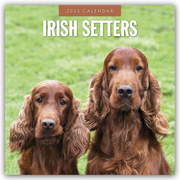 Irish Setters - Irischer Setter 2025 - 16-Monatskalender