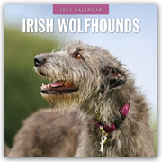 Irish Wolfhounds - Irischer Wolfshund 2025 - 16-Monatskalender
