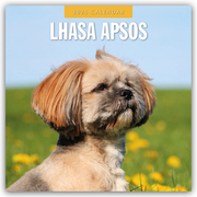 Lhasa Apsos - Lhasa Apso 2025 - 16-Monatskalender