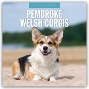 Pembroke Welsh Corgis - Pembroke Welsh Corgi 2025 - 16-Monatskalender
