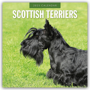 Scottish Terrier - Scotchterrier 2025 - 16-Monatskalender