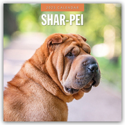 Shar-Pei - Chinesischer Faltenhund 2025 - 16-Monatskalender