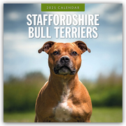 Staffordshire Bull Terriers - Staffordshire Bullterrier 2025 - 16-Monatskalender
