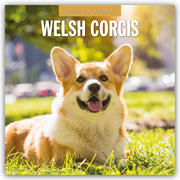Welsh Corgis - Welsh Corgi 2025 - 16-Monatskalender