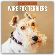 Wire Fox Terriers - Drahthaar Foxterrier 2025 - 16-Monatskalender