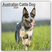 Australian Cattle Dog - Australische Cattle Dogs 2024 - 16-Monatskalender