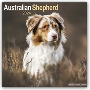 Australian Shepherd - Australische Schäferhunde 2024 - Cover