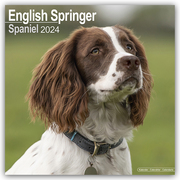 English Springer Spaniels 2024 - 16-Monatskalender
